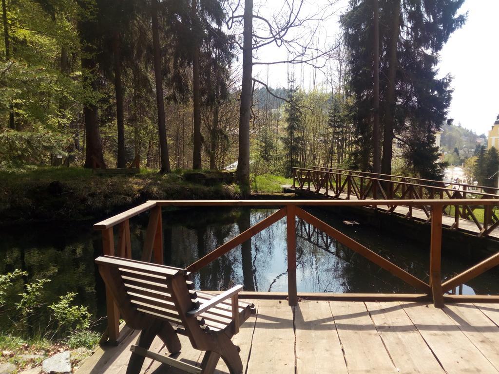 Parkhotel Forest Mariánské Lázně Eksteriør billede