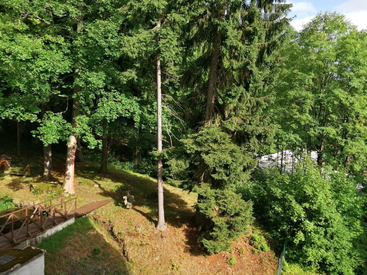 Parkhotel Forest Mariánské Lázně Eksteriør billede